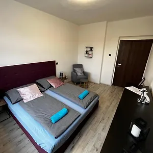 https://large-3-bedroom-apartment-with-billiard-karlovy-vary.karlovyvary-hotels.com